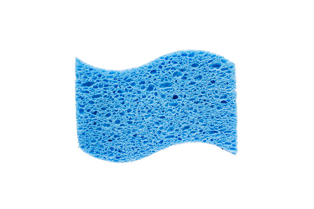Sponge Blue sponge isolated on white background bath sponge photos stock pictures, royalty-free photos & images