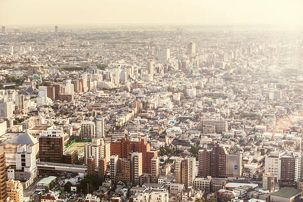 istock Tokyo Skyline Sunset, Japan 513644280