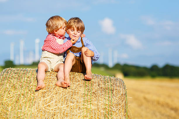 Two little sibling boys and friends sitting on hay stack or bale and speaking on yellow wheat field in summer