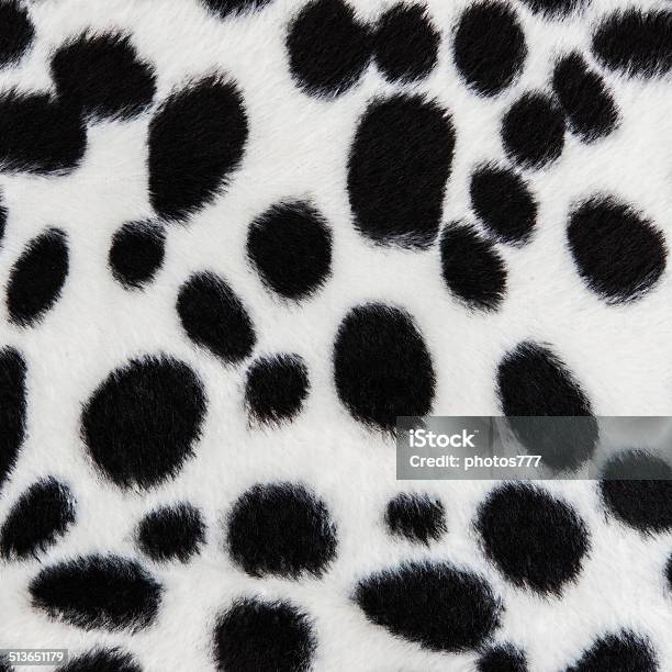White Fur Stock Photo - Download Image Now - Fur, Animal Hair, White Color  - iStock
