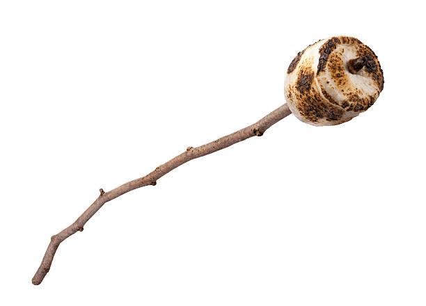 Roasted Marshmallow on a Stick Roasted Marshmallow on a stick, isolated on a white background. Full focus front to back. stick plant part stock pictures, royalty-free photos & images