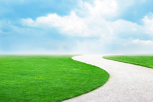 Green way with blue sky photo