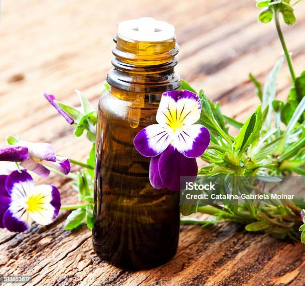 Pansy Essence Stock Photo - Download Image Now - Alternative Therapy, Aromatherapy, Beauty In Nature