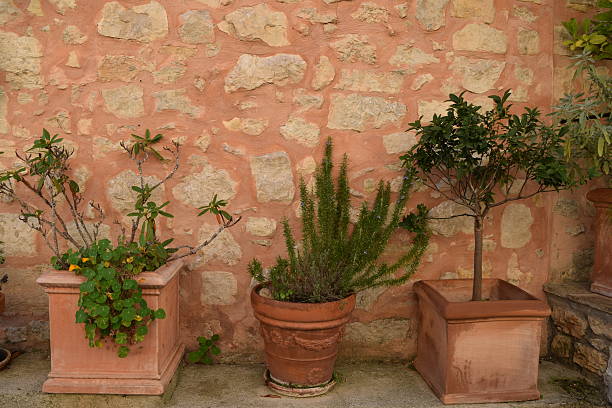Three pots and a pink Provençale style wall stock photo