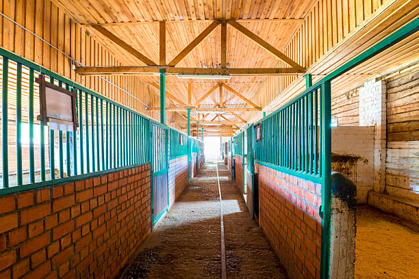 istock empty building stable in the countryside 513678138