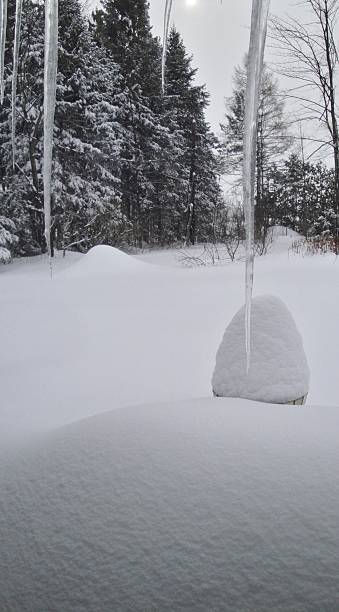 istock Serenity of a Winter Day 513681332