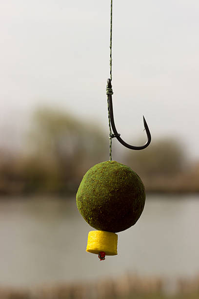 Carp Bait, Boili Hair, Blow Back Rig, Carp Hook