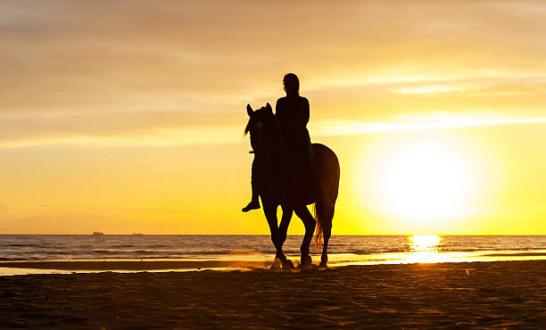 istock Horseriding at the beach on sunset background. Multicolored outdoors image. 513683410