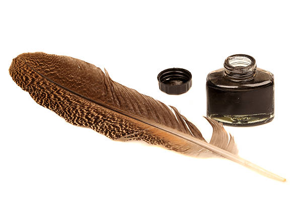 istock Feather pen abstract colors in the ink pot 513684432