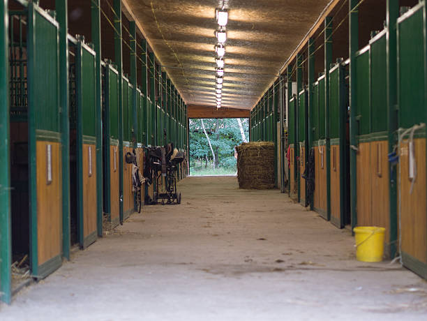 horse estable - horse stall stable horse barn fotografías e imágenes de stock