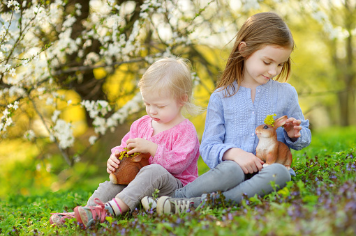 Two adorable little sisters playing with Easter bunnies in blooming spring garden on Easter day