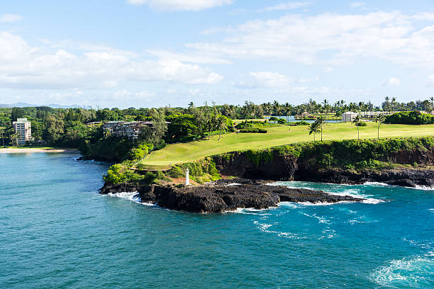 a ilha - building exterior hawaii islands palm tree beach - fotografias e filmes do acervo