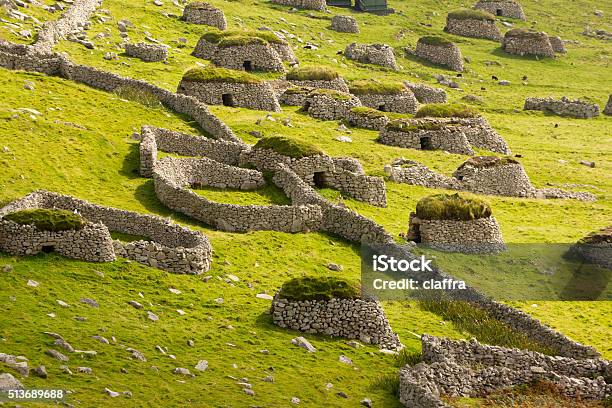 St Kilda Stock Photo - Download Image Now - Sheep, Hirta, Island