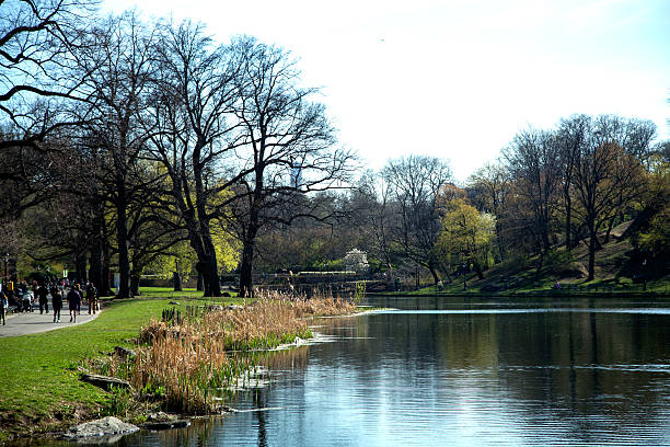 istock Central Park Lake and People are walking on the Sidewalk 513689794