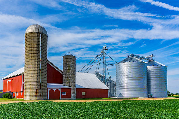 istock Midwest farm with spring  crop and red barn,Indiana 513691284