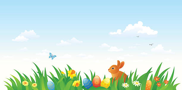 easter bunny hintergrund - daffodil spring backgrounds sky stock-grafiken, -clipart, -cartoons und -symbole