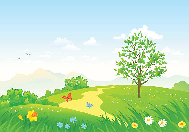 frühling landschaft grün - daffodil spring backgrounds sky stock-grafiken, -clipart, -cartoons und -symbole