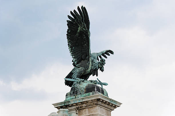 istock Bird Tour by Gyula Donath 513693752
