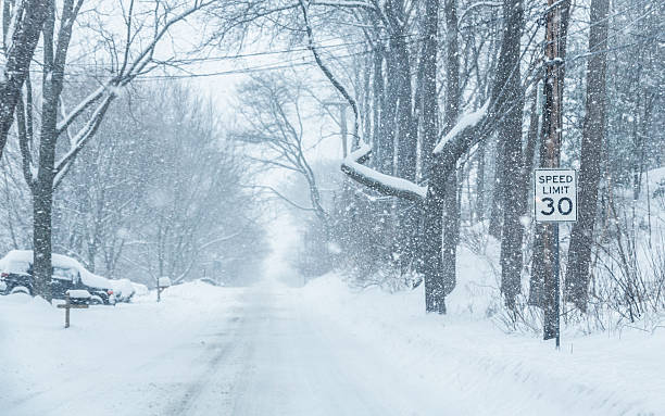 istock Blizzard Blowing Snowflake Rural Road Speed Limit Road Sign 513694136