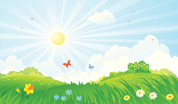 frühling landschaft sonnigen - daffodil spring backgrounds sky stock-grafiken, -clipart, -cartoons und -symbole