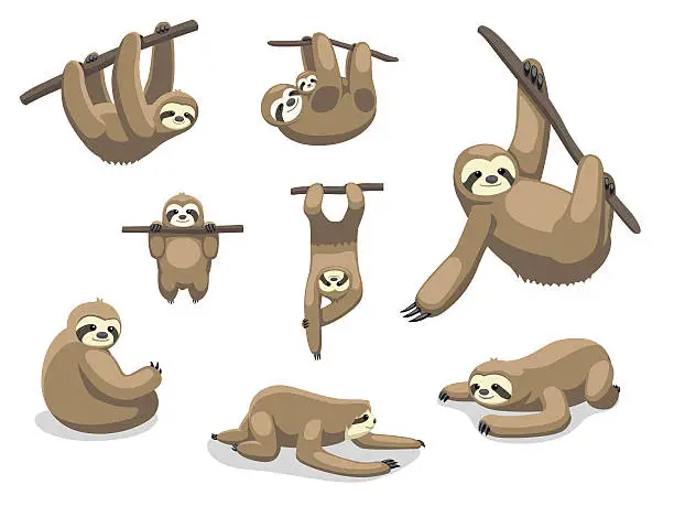 Vector illustration of Sloth Poses Cartoon Vector Illustration