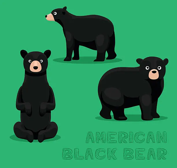 Vector illustration of Bear American Black Bear Cartoon Vector Illustration