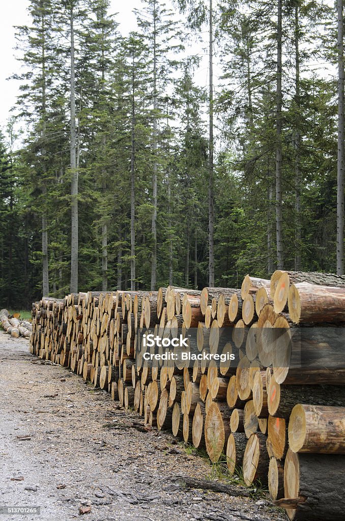 piles of timber along road in forest piles of timber along road in forest - stock photo Damaged Stock Photo