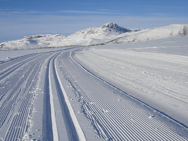 istock Cross country ski slopes 513701589