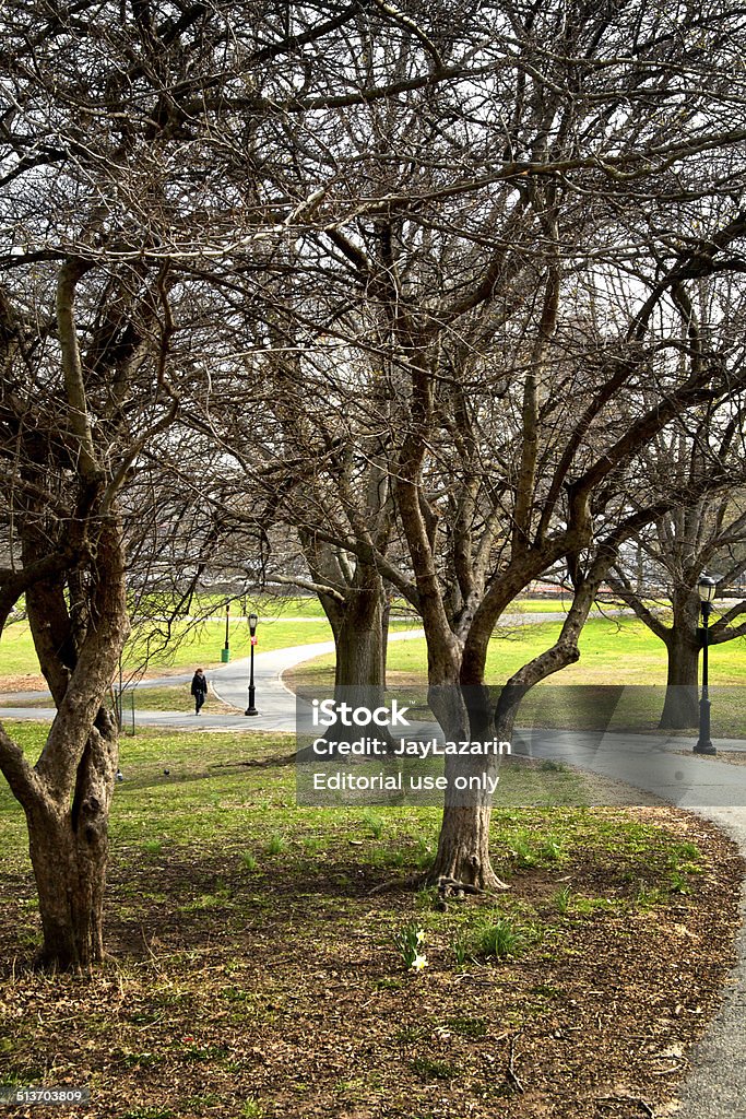 Urban Life, New York City, Woman Walking, Inwood Hill Park New York City, USA - April 22, 2014: A lone woman walks in Inwood Hill Park at the northern most tip of Manhattan. Adult Stock Photo