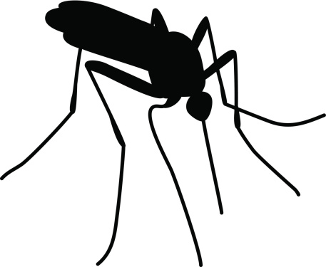 Black silhouette of mosquito bite isolated on white