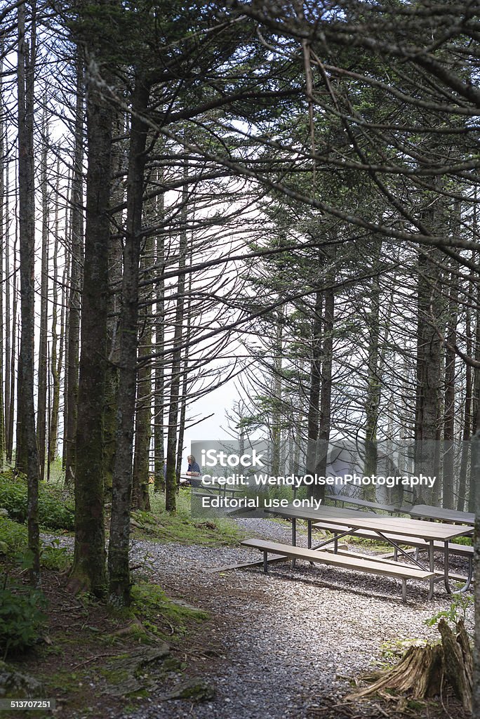 Picnic tables in a forest Asheville, North Carolina, USA. August 3, 2014. A person sitting at a picnic table in forest at Mt. Mitchell State Park during the summer months. Forest Stock Photo