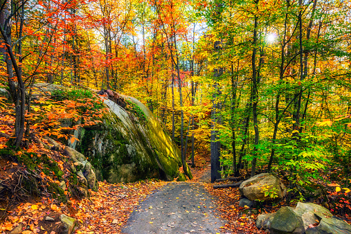 A path through a rocky forested landscape during the day in the autumn season.