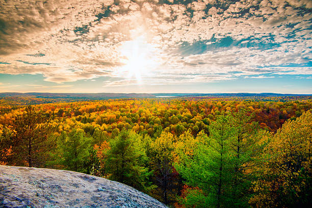 luz del sol sobre el bosque de otoño en un treetops - laurentian moutains fotografías e imágenes de stock