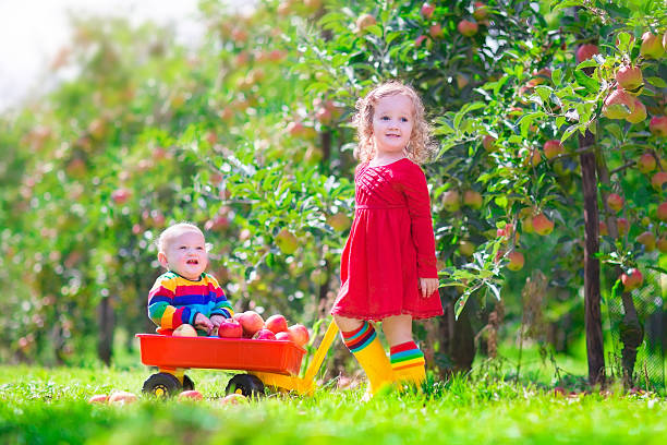 istock Two children playing in an apple garden 513728713