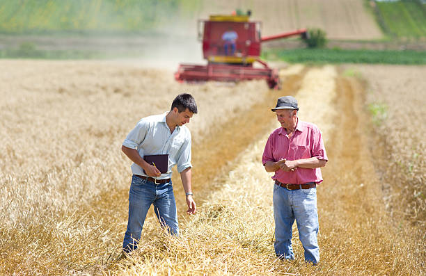 istock Business people on wheat field 513728839