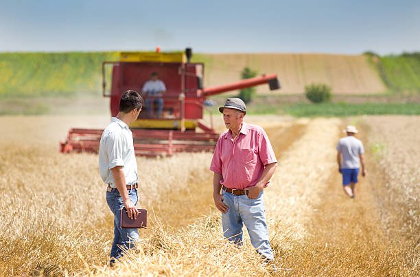 istock Business people on wheat field 513729083