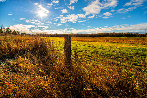 istock Sun Shining Down on a Farm Field 513729689