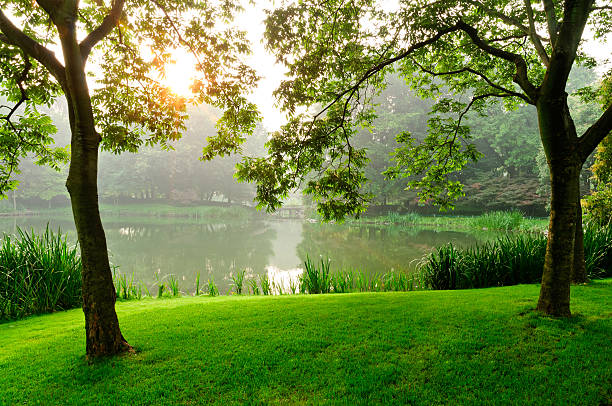 istock Spring ，park in the morning 513730767