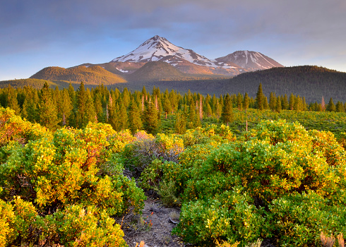 The less known north side of Mount Shasta, California.