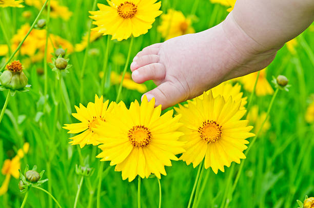istock Lovely infant foot with little yellow daisy 513731621