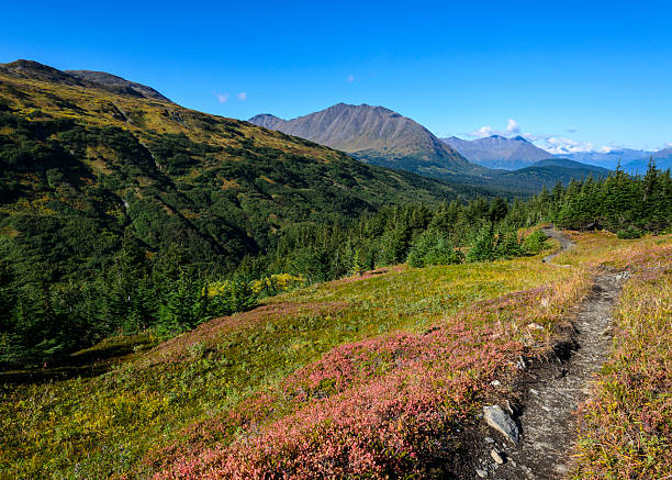 istock Lost Lake Trail, Alaska 513731947