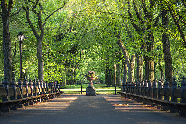 istock Central Park, Image of The Mall area in Central Park 513732462