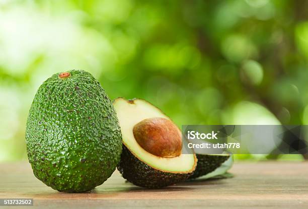 Avocado Stock Photo - Download Image Now - Avocado, Backgrounds, Dieting