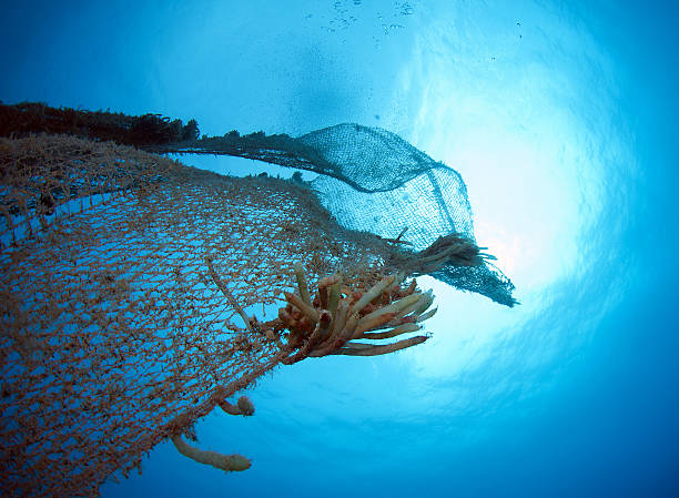 istock old abandoned fishing net 513732956