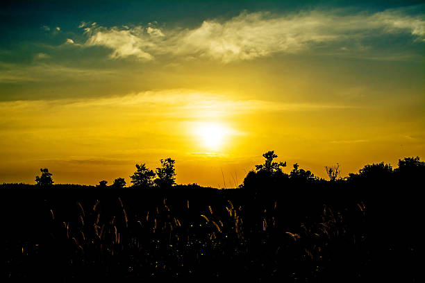 istock sun set in countryside, Thailand 513733146
