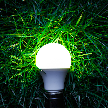 Led Light bulb on grass.
