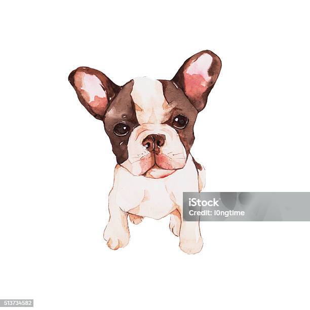 Bull Dog Stock Illustration - Download Image Now - Animal, Bulldog, Cute