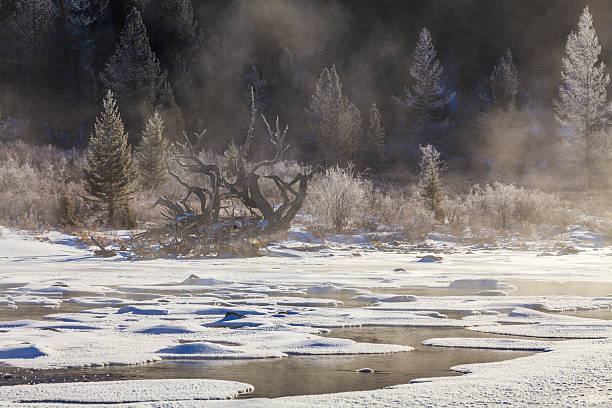 красивый зимний горный пейзаж с реки в замороженном виде. - winter stream river snowing стоковые фото и изображения