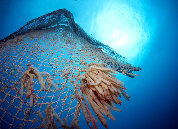 istock old abandoned fishing net 513736168