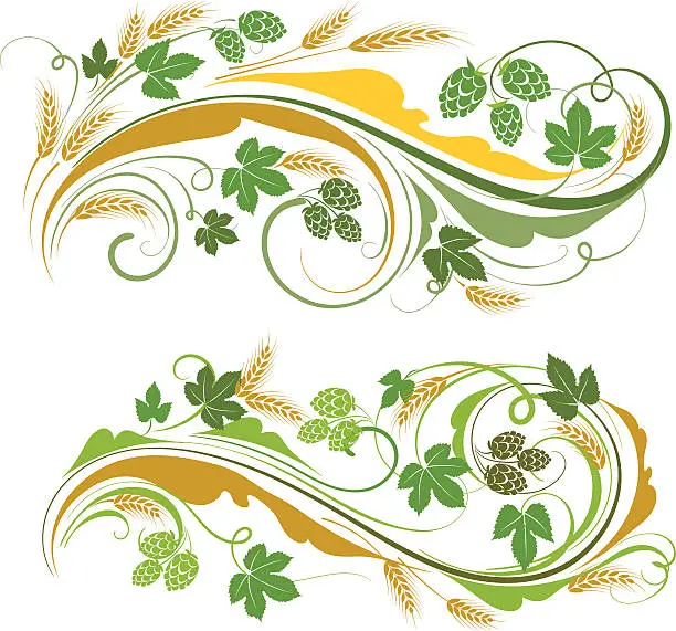 Vector illustration of Hop and barley ornament